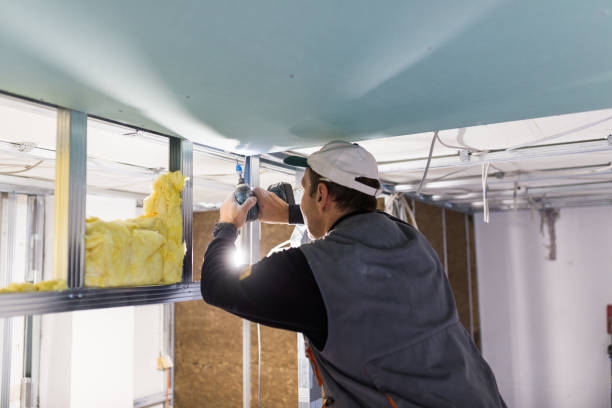Insulation Replacement Services in Fruitland, IA
